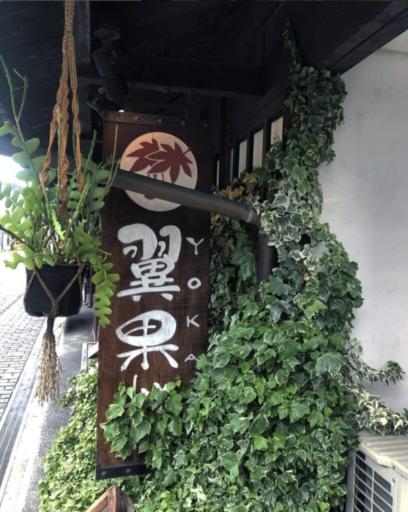 翼果楼